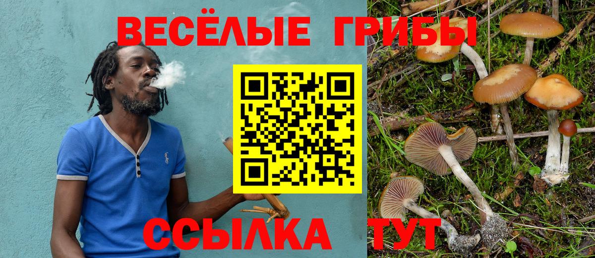 Обнинск  Псилоцибиновые грибы GOLDEN TEACHER  Вход с VPN 